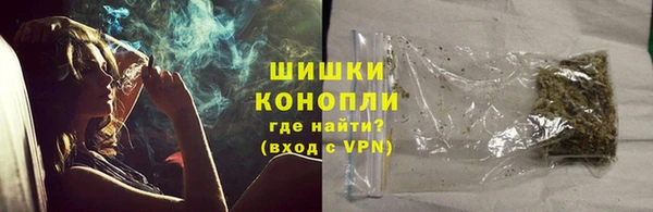 мдпв Володарск
