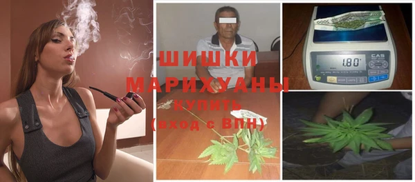 мдпв Володарск