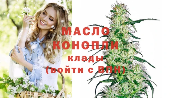 молекула духа Волосово