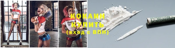 мдпв Володарск
