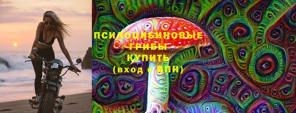 apvp Тавда