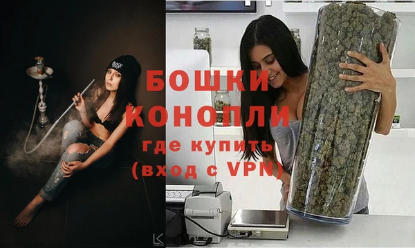 СК Волоколамск