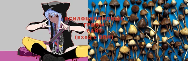 сатива Верхнеуральск