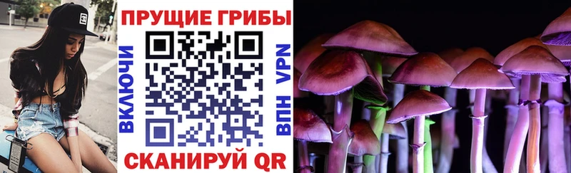 купить наркоту  Ишим  Галлюциногенные грибы прущие грибы 